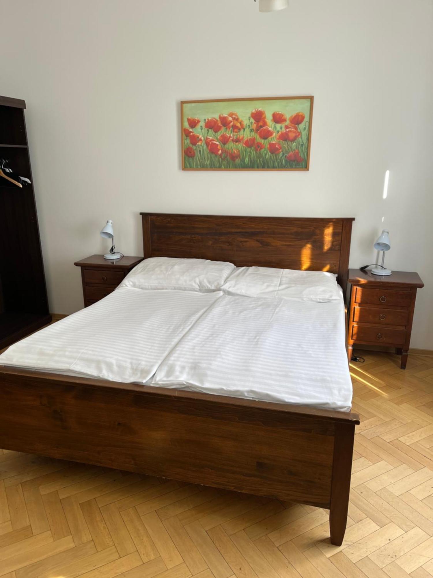 U Vejvodu Apartament *